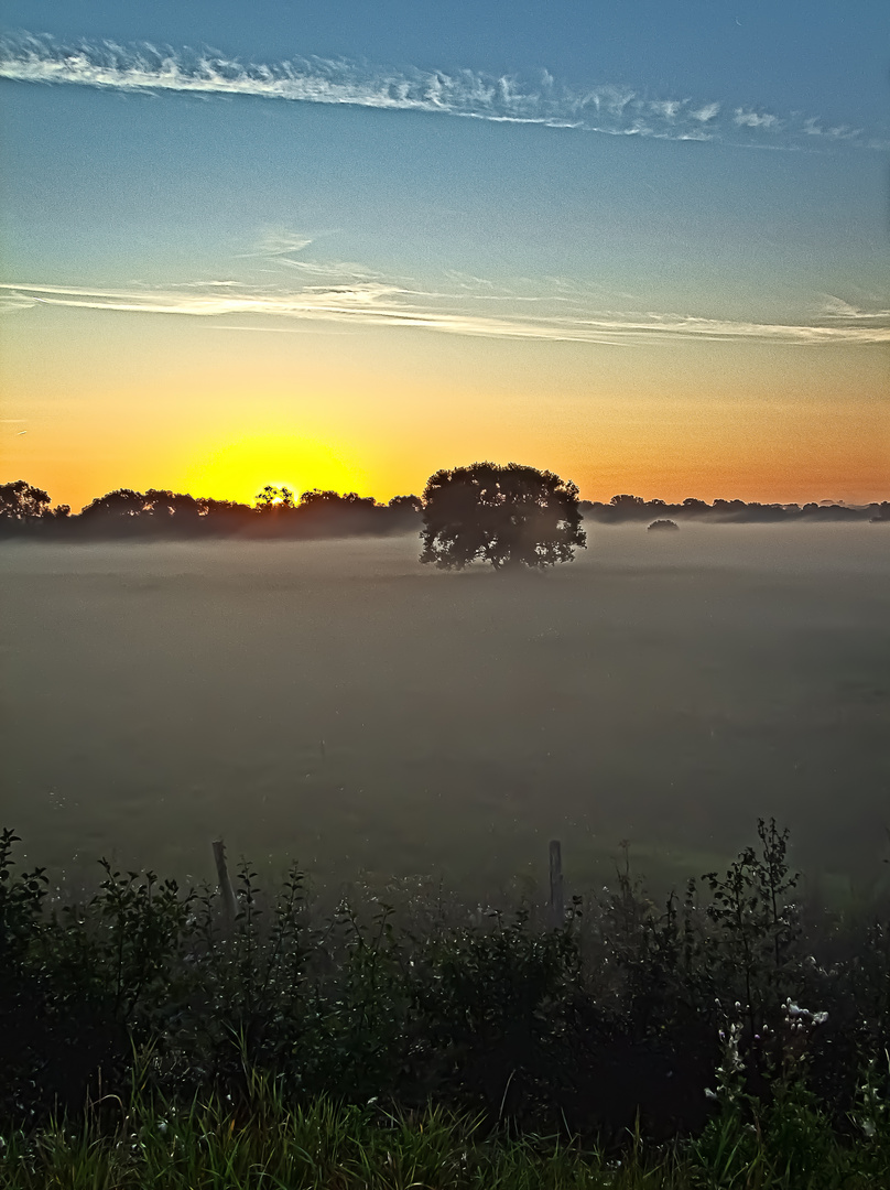 Sonnenaufgang Elbwiese 2