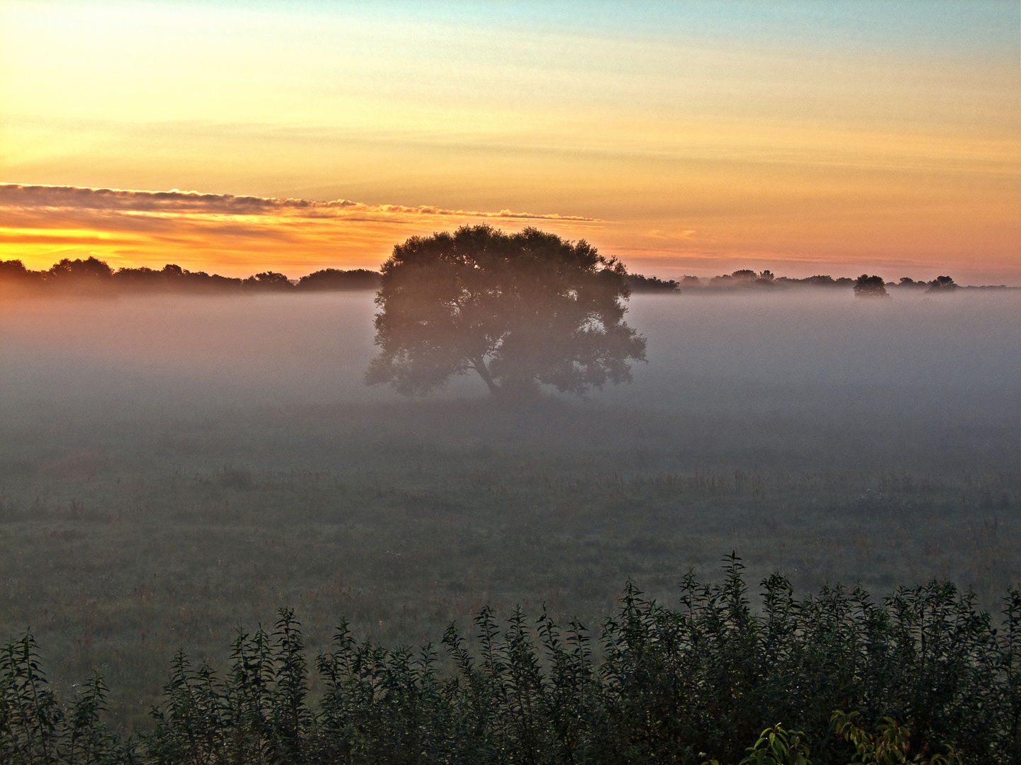 Sonnenaufgang Elbwiese