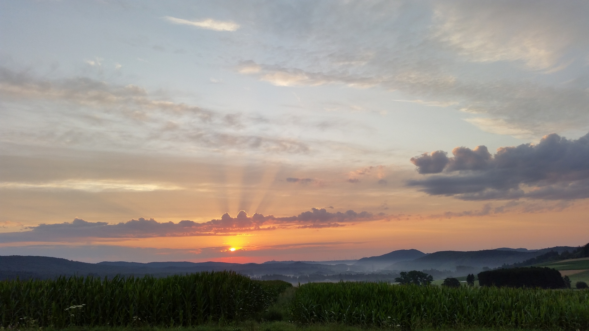 Sonnenaufgang Enkenberg