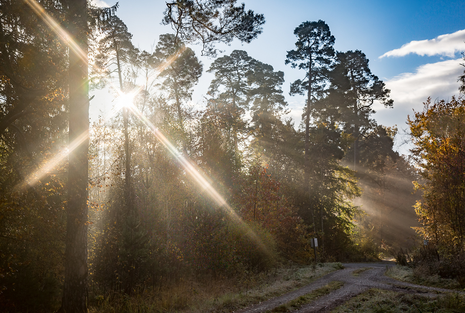 Sonnenaufgang, es wird ein schöner Tag