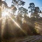 Sonnenaufgang, es wird ein schöner Tag