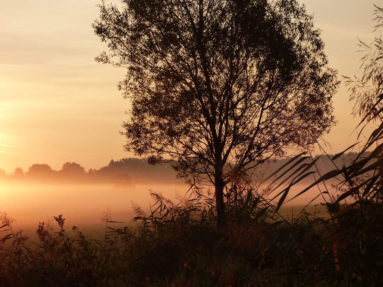 Sonnenaufgang 