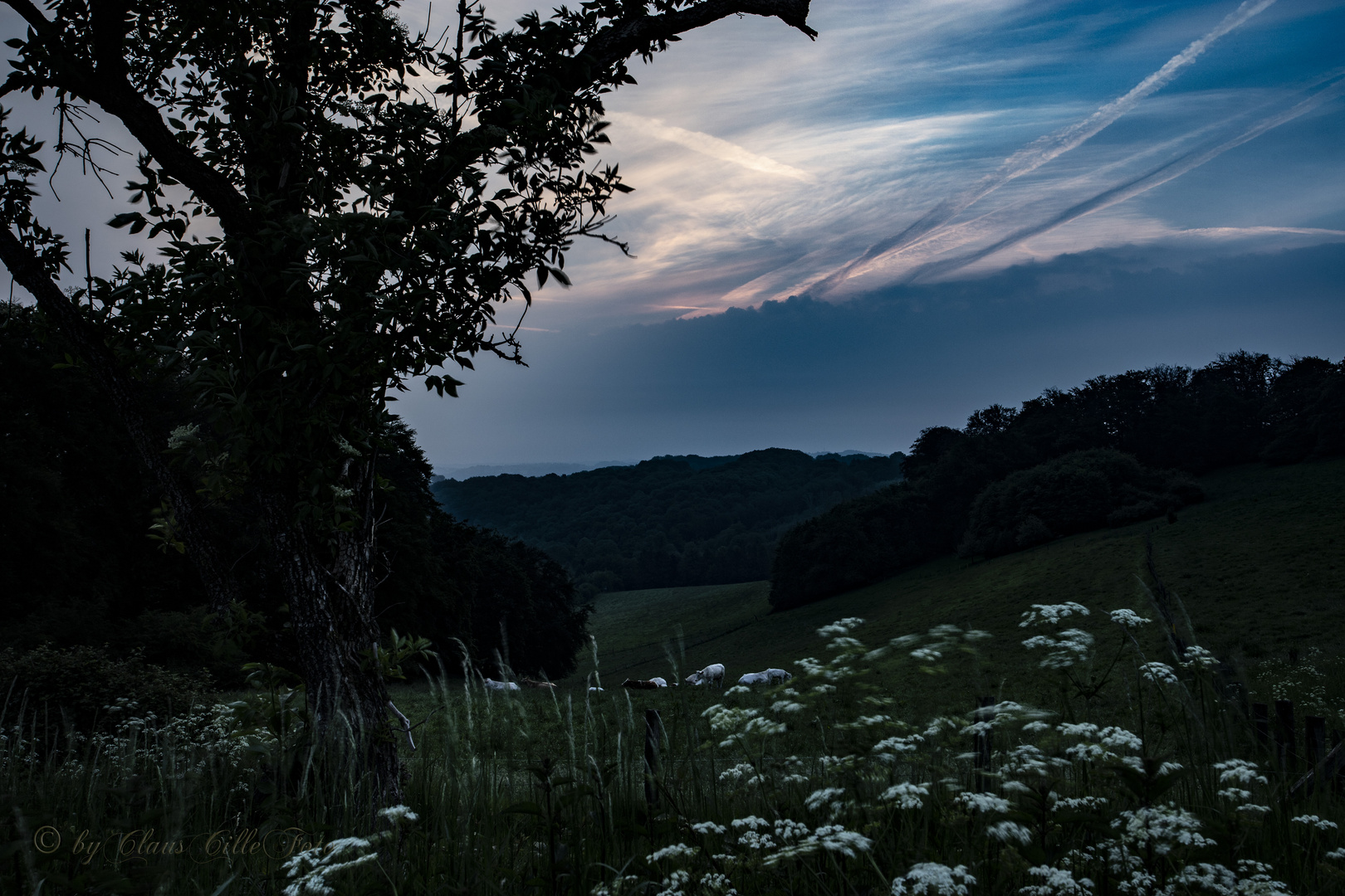 Sonnenaufgang 