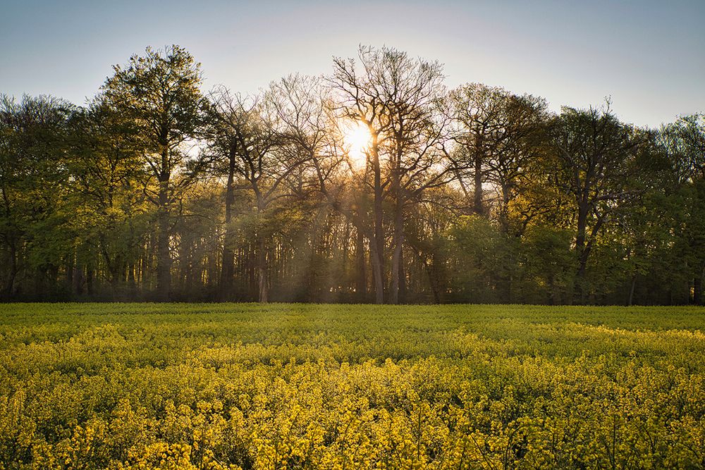 ... Sonnenaufgang ...