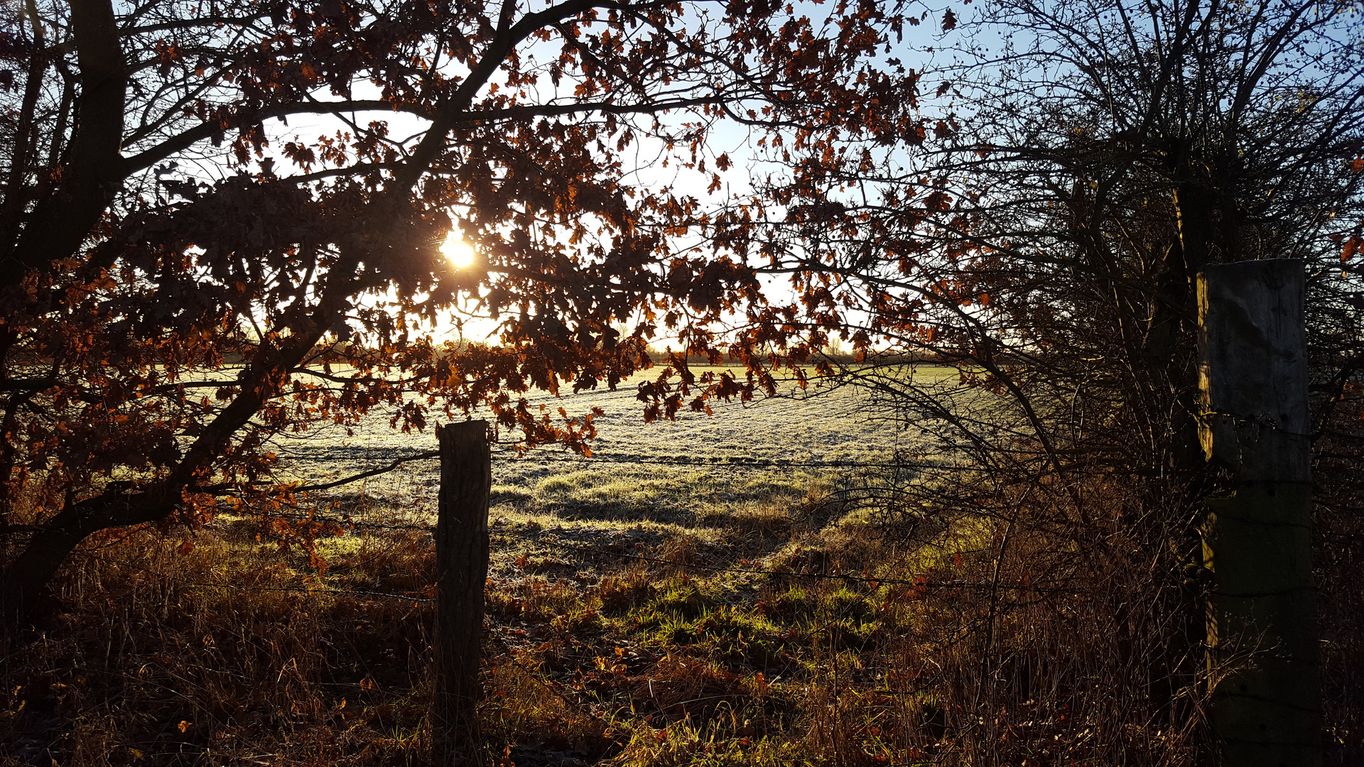 Sonnenaufgang