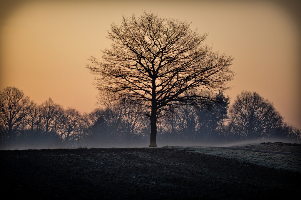 Sonnenaufgang