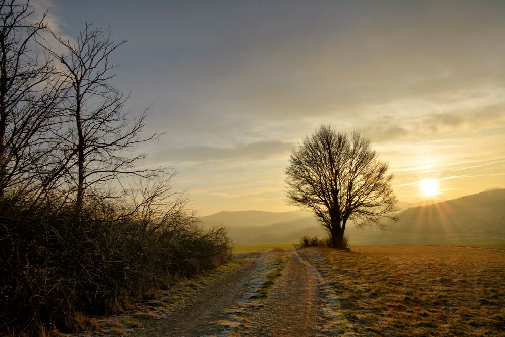 Sonnenaufgang Farrod 