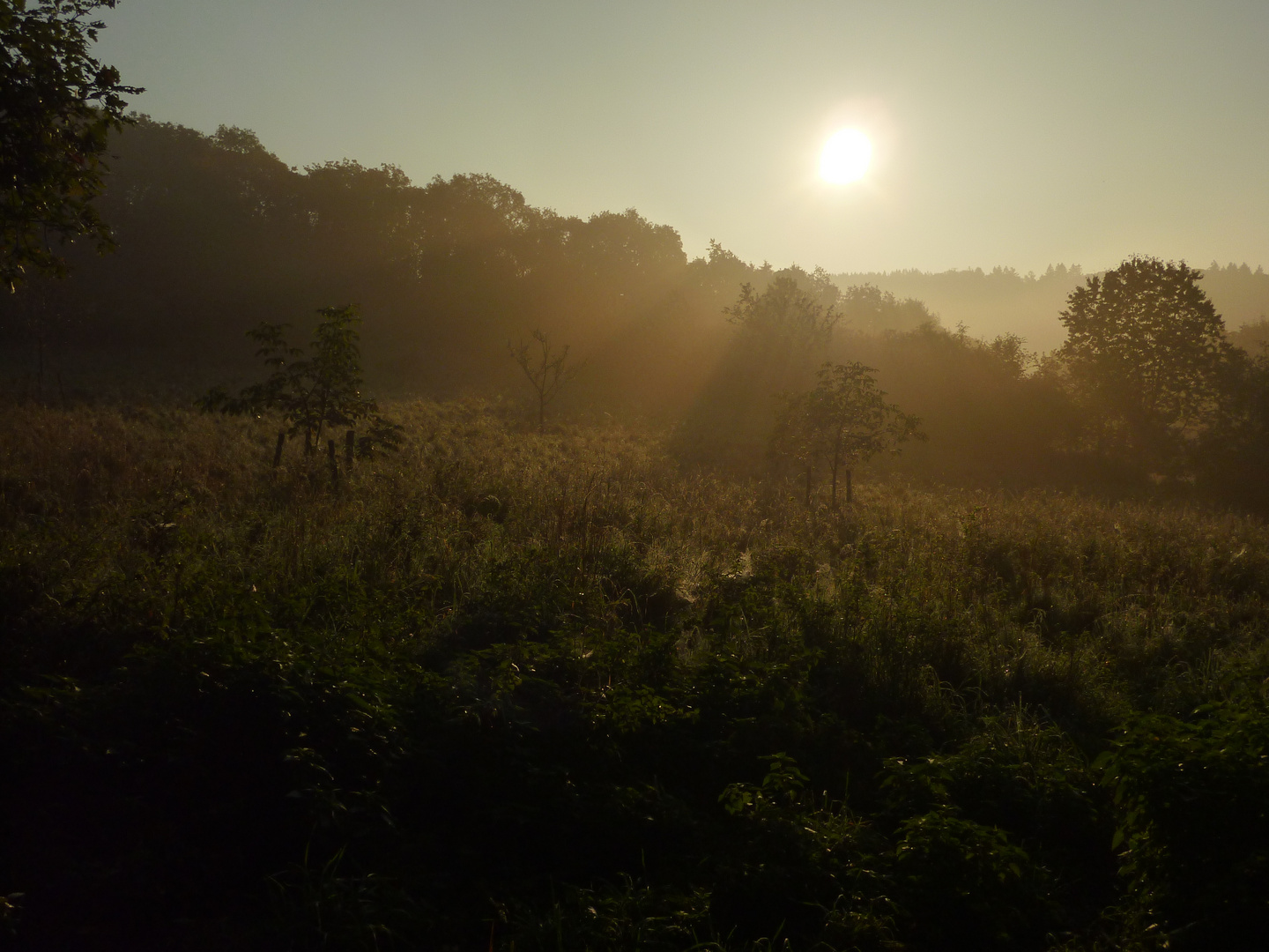 Sonnenaufgang