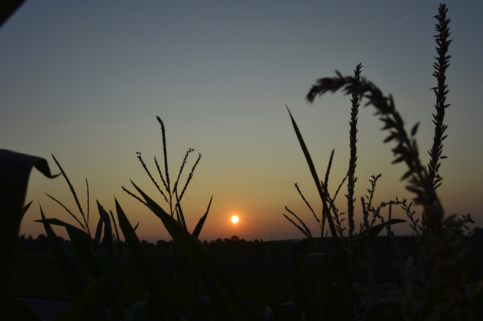 Sonnenaufgang