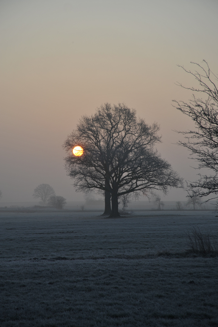 Sonnenaufgang Februar