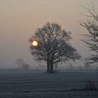 Sonnenaufgang Februar