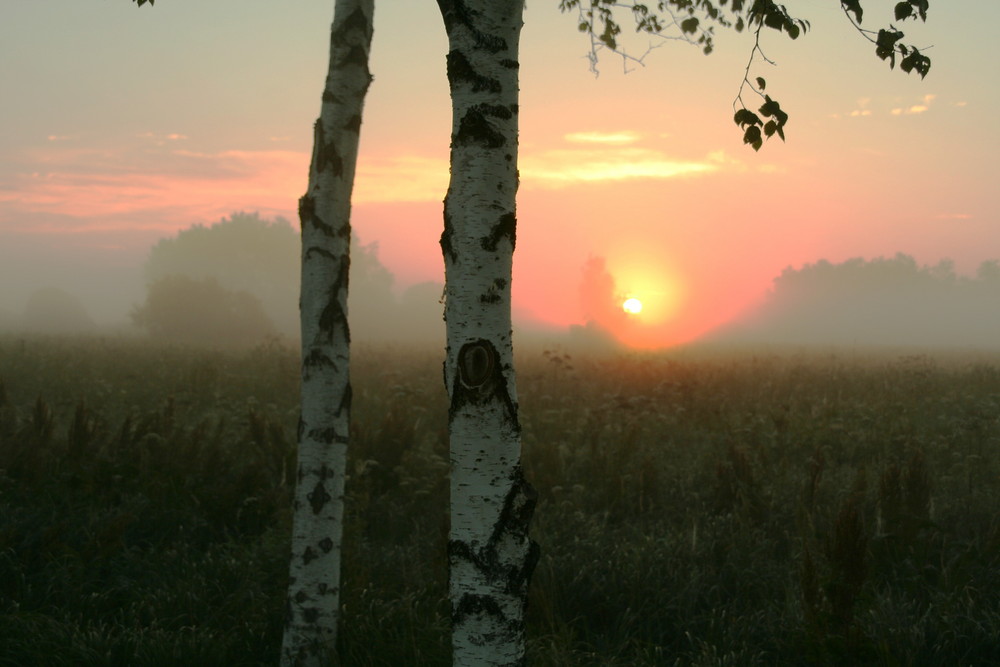 sonnenaufgang federsee