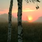 sonnenaufgang federsee