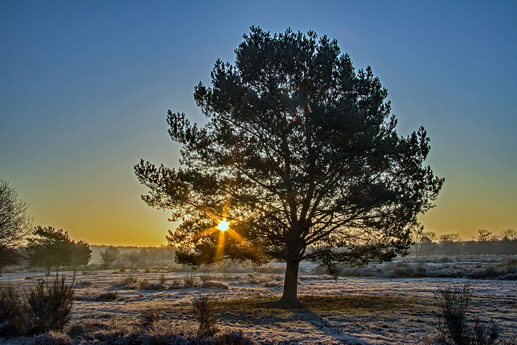 Sonnenaufgang . . .