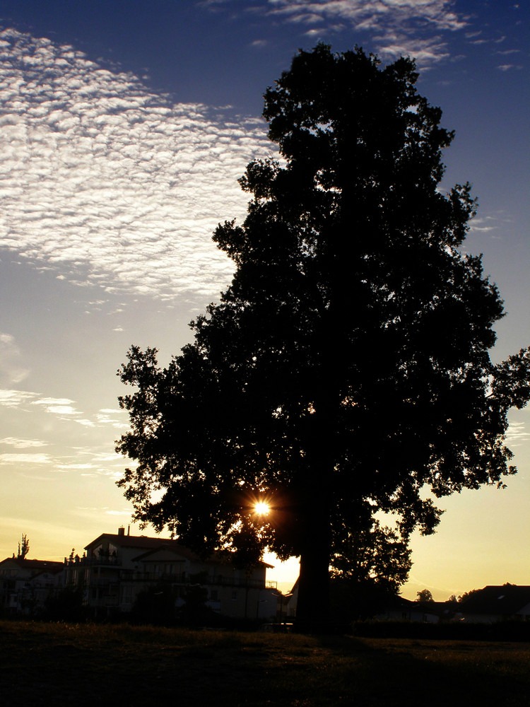 Sonnenaufgang früh um 6