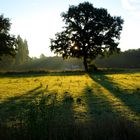 Sonnenaufgang frühmorgens in Gladbeck (1)