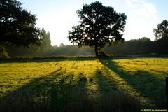 Sonnenaufgang frühmorgens in Gladbeck (1)