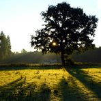 Sonnenaufgang frühmorgens in Gladbeck