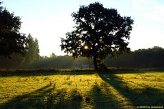 Sonnenaufgang frühmorgens in Gladbeck