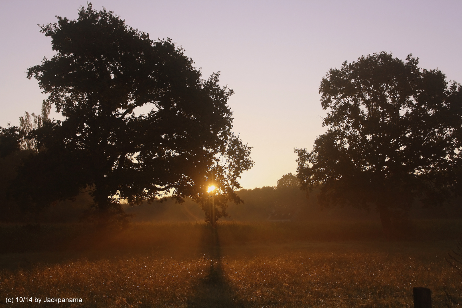 Sonnenaufgang, frühmorgens in Gladbeck