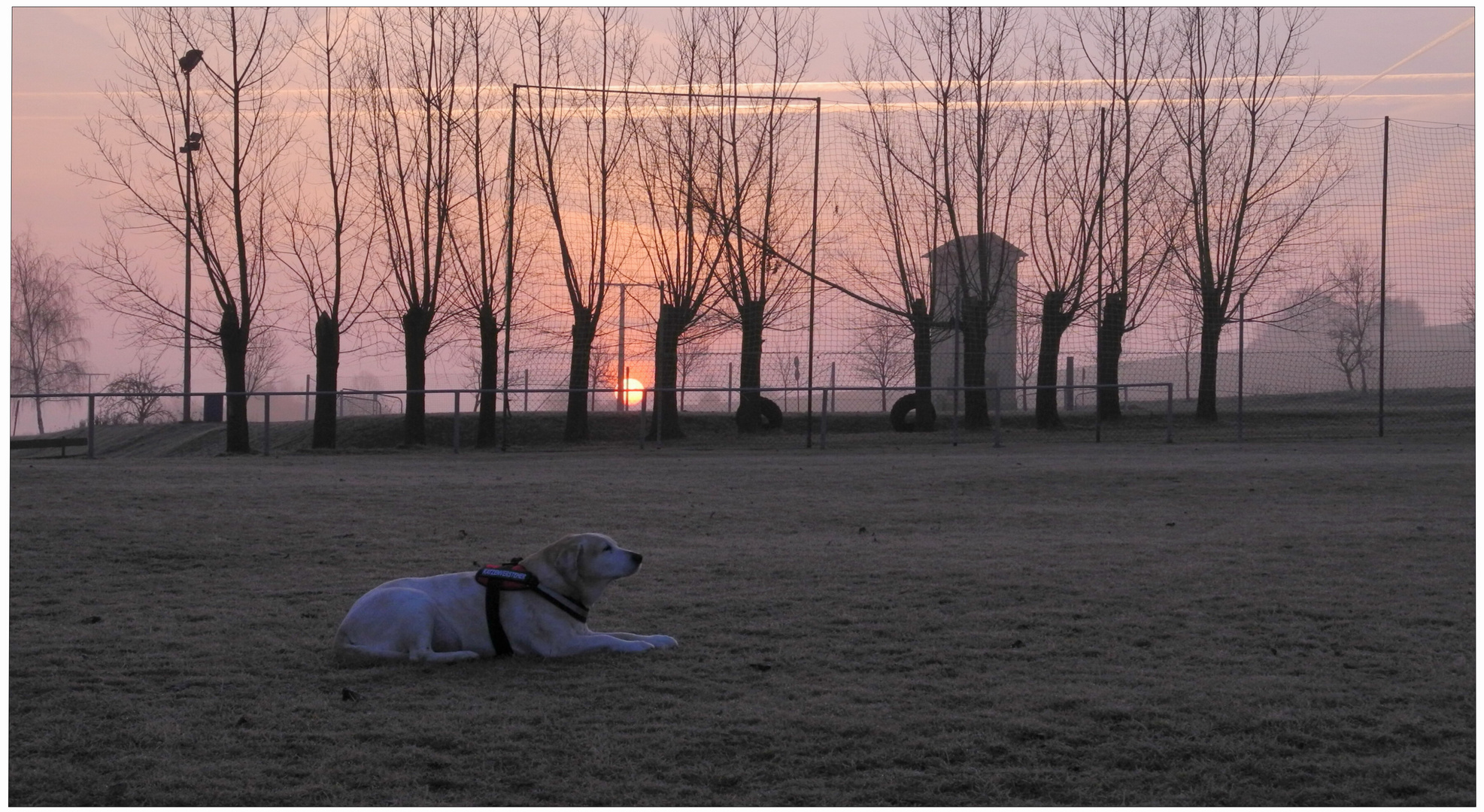 Sonnenaufgang für meine Bonnie (salida del sol para mi Bonnie)