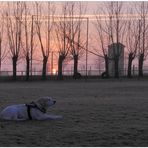 Sonnenaufgang für meine Bonnie (salida del sol para mi Bonnie)