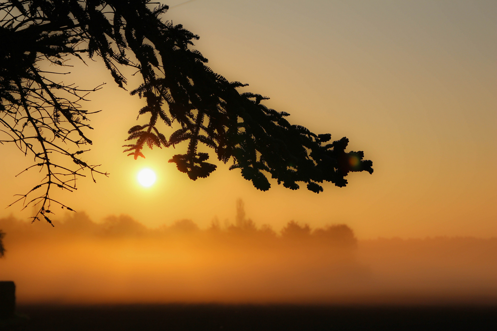 Sonnenaufgang ganz spontan