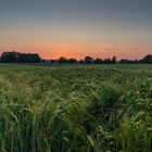 Sonnenaufgang Gersthofen