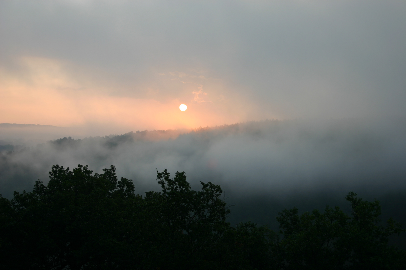 Sonnenaufgang - Guten Morgen Welt