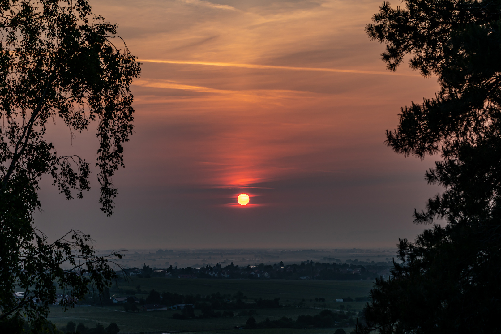 Sonnenaufgang Haardt/Weinstraße