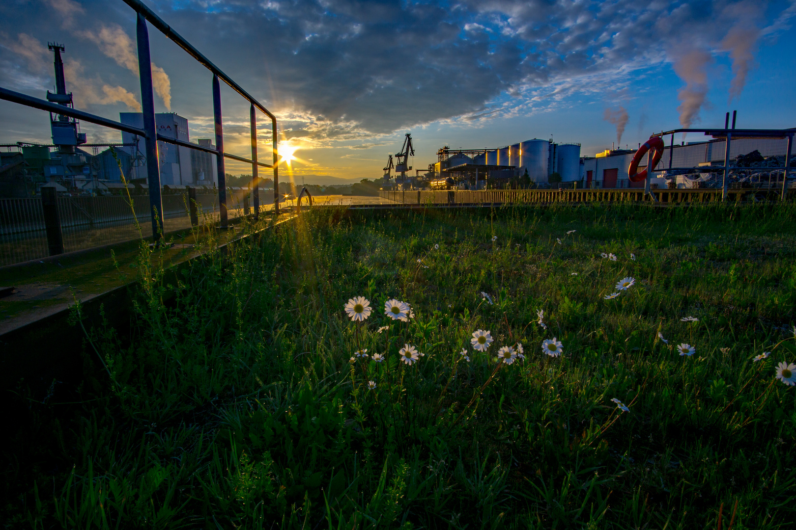 Sonnenaufgang Hafen Sand