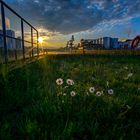 Sonnenaufgang Hafen Sand