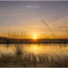 Sonnenaufgang Hahnenmoor Emsland