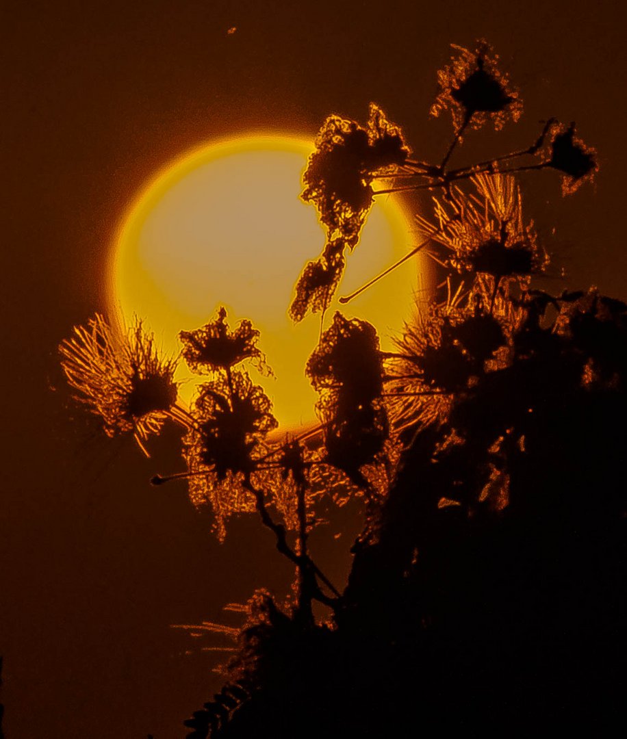 Sonnenaufgang  Halbinsel Pilion Griechenland