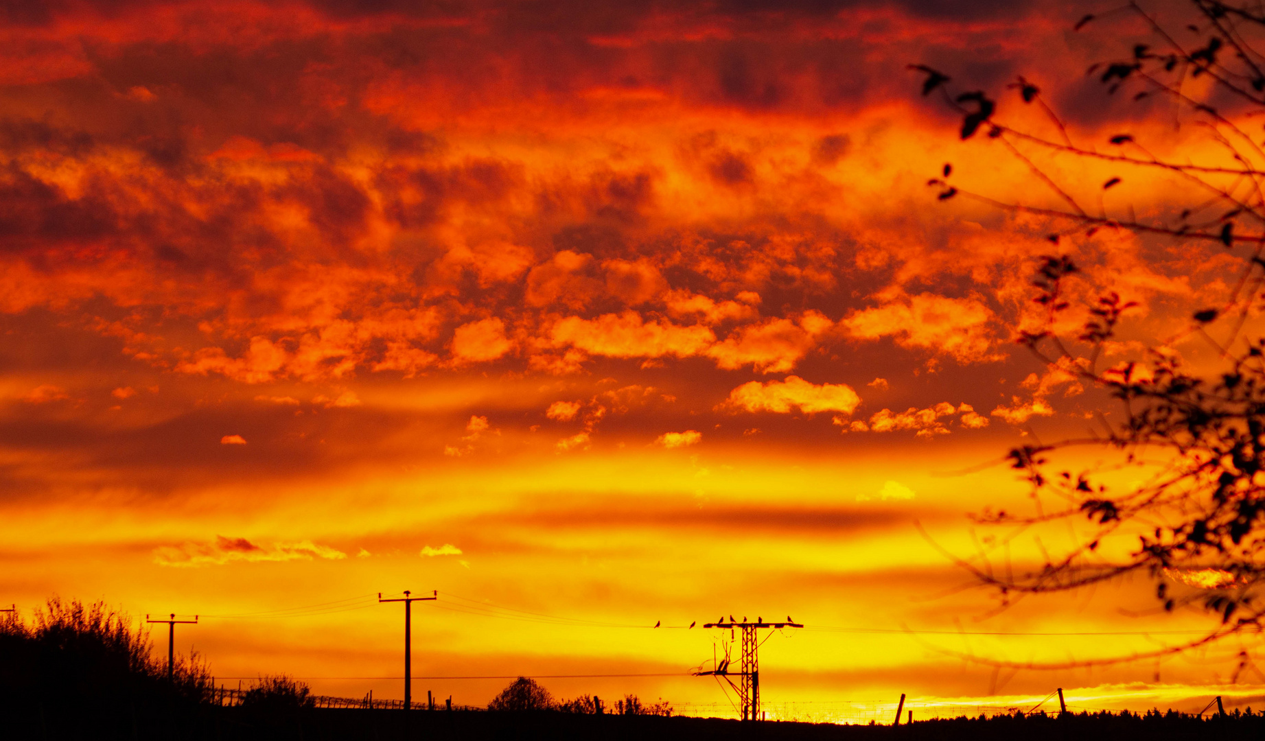 Sonnenaufgang Hallertau