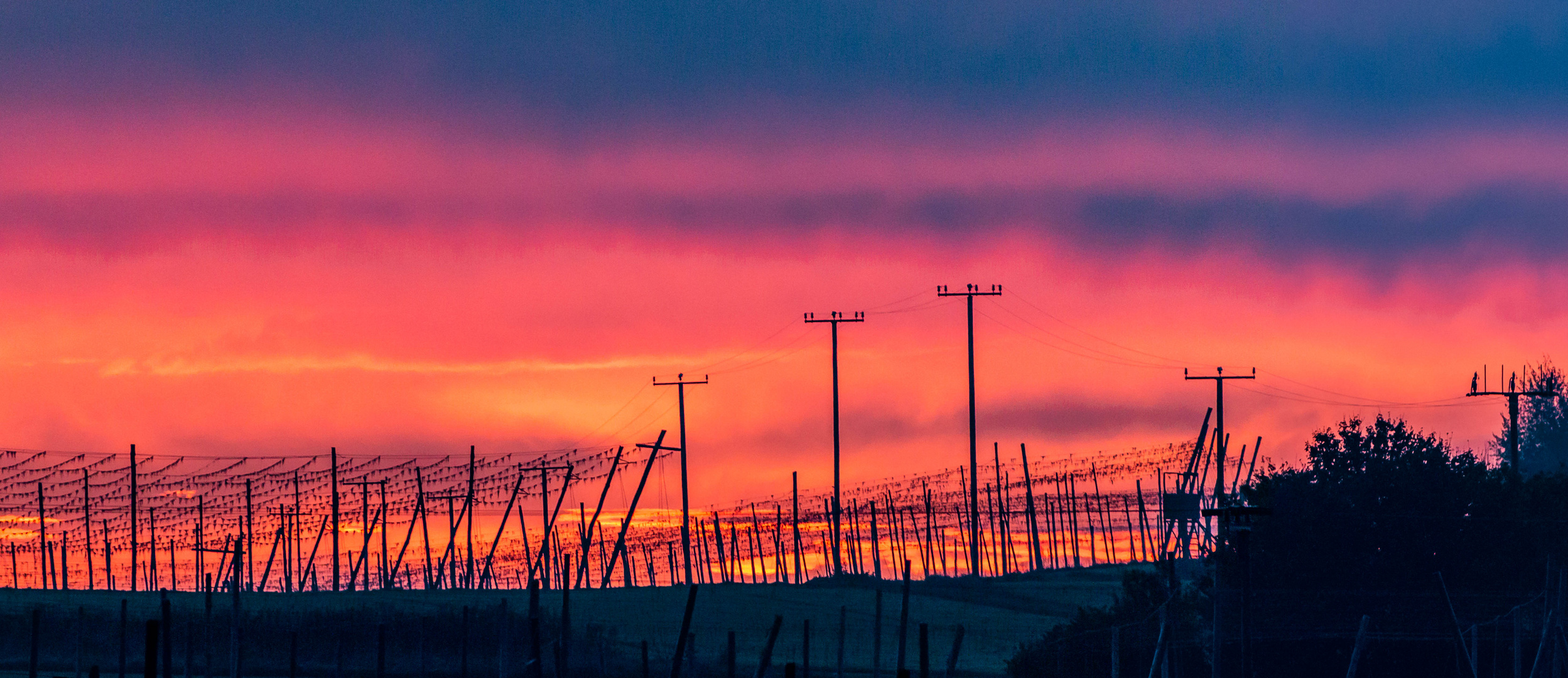 Sonnenaufgang Hallertau