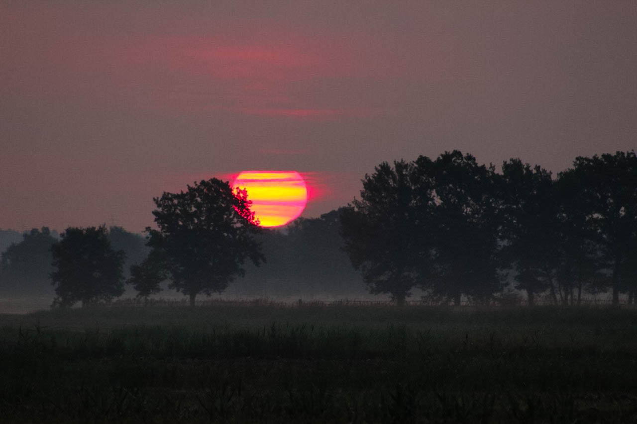 Sonnenaufgang Hamburg Kirchwerder 