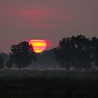 Sonnenaufgang Hamburg Kirchwerder 