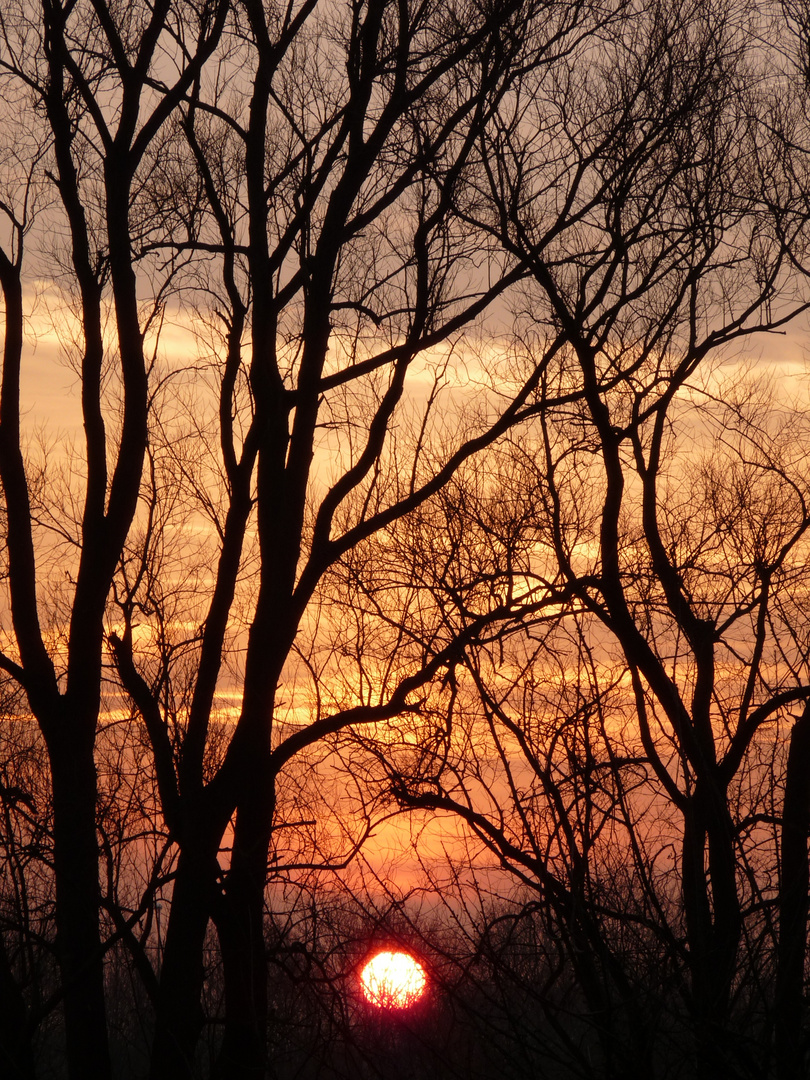 Sonnenaufgang Hamm Mitte