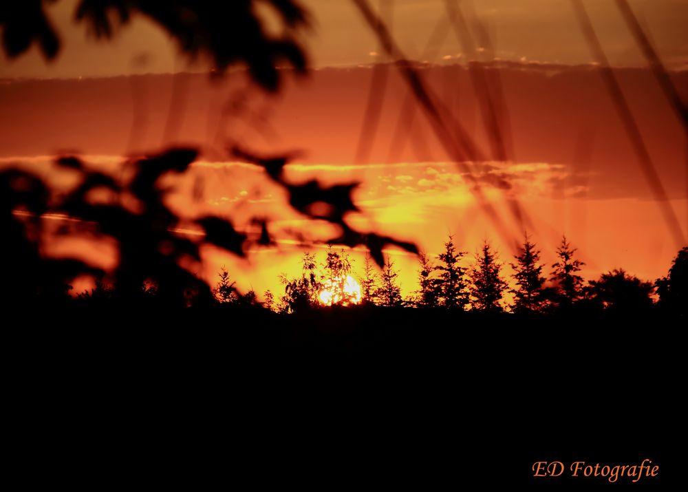 Sonnenaufgang Harz 2016