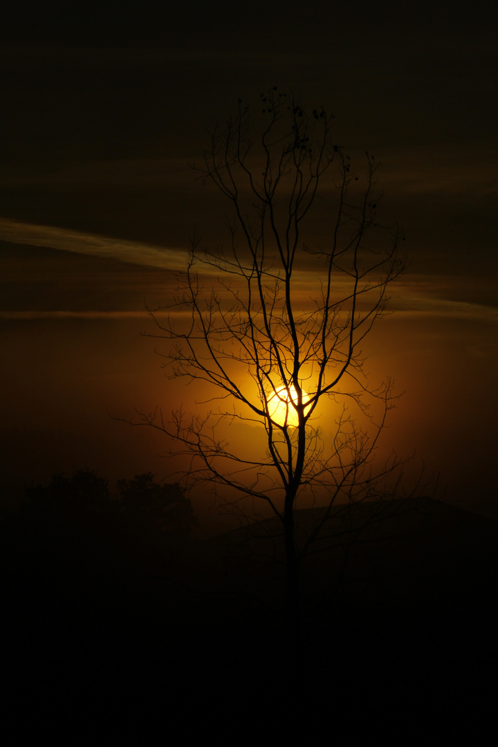 Sonnenaufgang Heddesheim