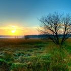 Sonnenaufgang Heidelandschaft "Hohes Venn"