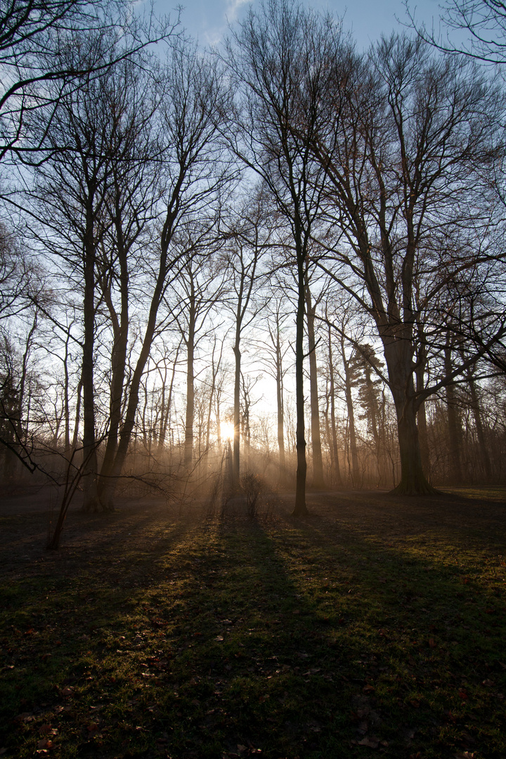 Sonnenaufgang Herbst