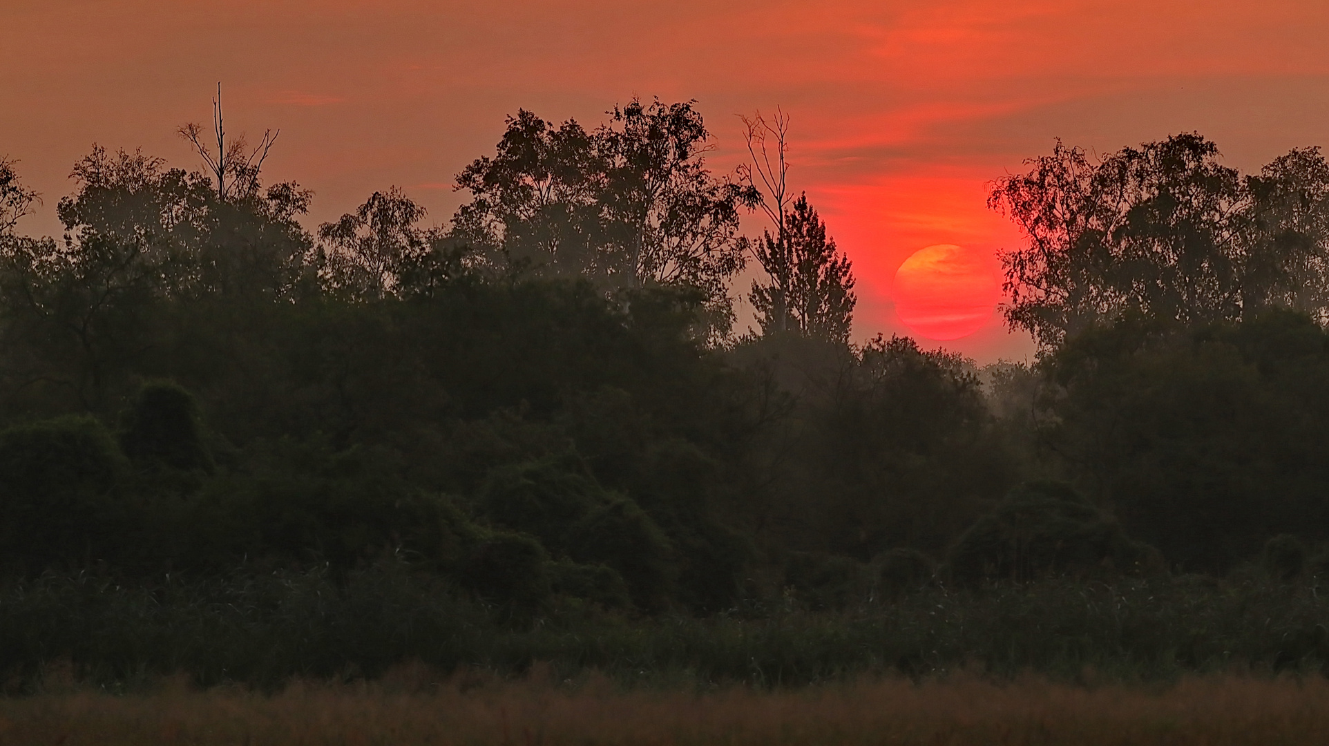 Sonnenaufgang heute