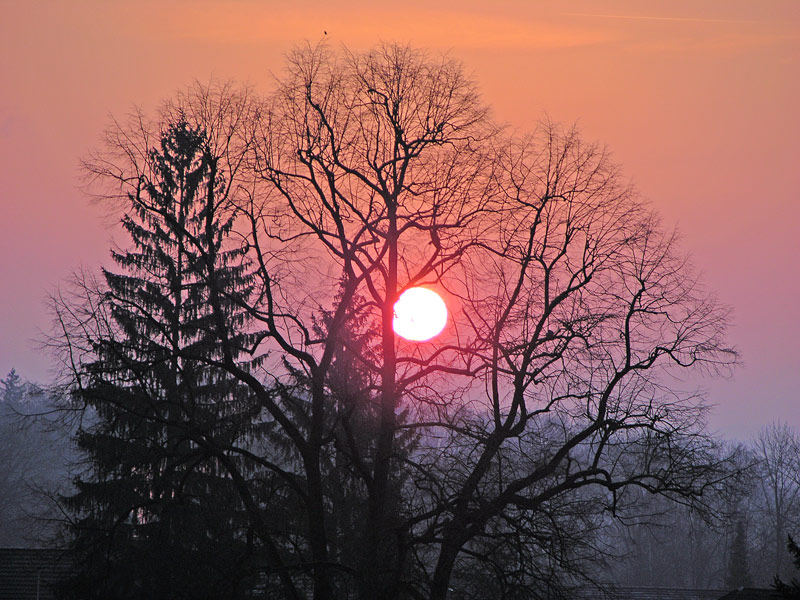 Sonnenaufgang heute Morgen