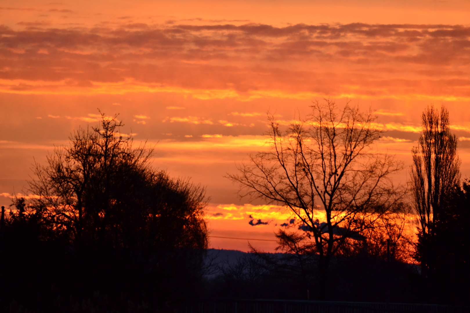 Sonnenaufgang heute Morgen an den Hergershäuser Wiesen