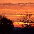 Sonnenaufgang heute Morgen an den Hergershäuser Wiesen