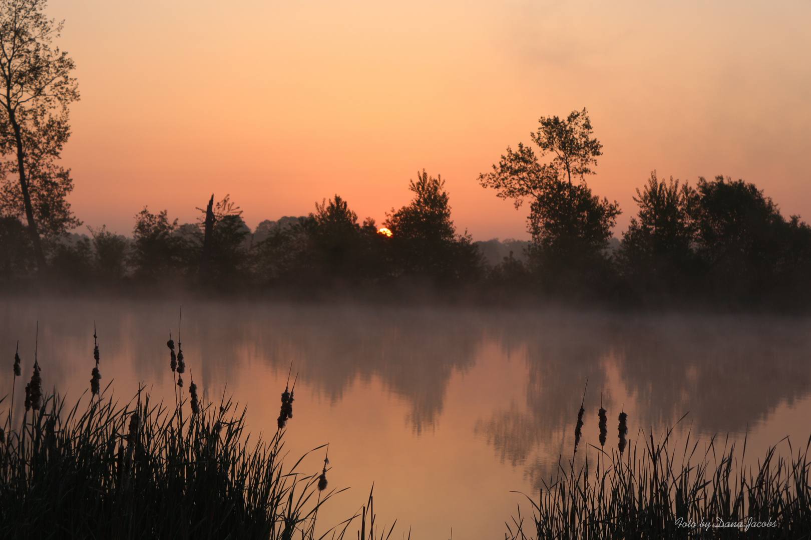 Sonnenaufgang heute morgen