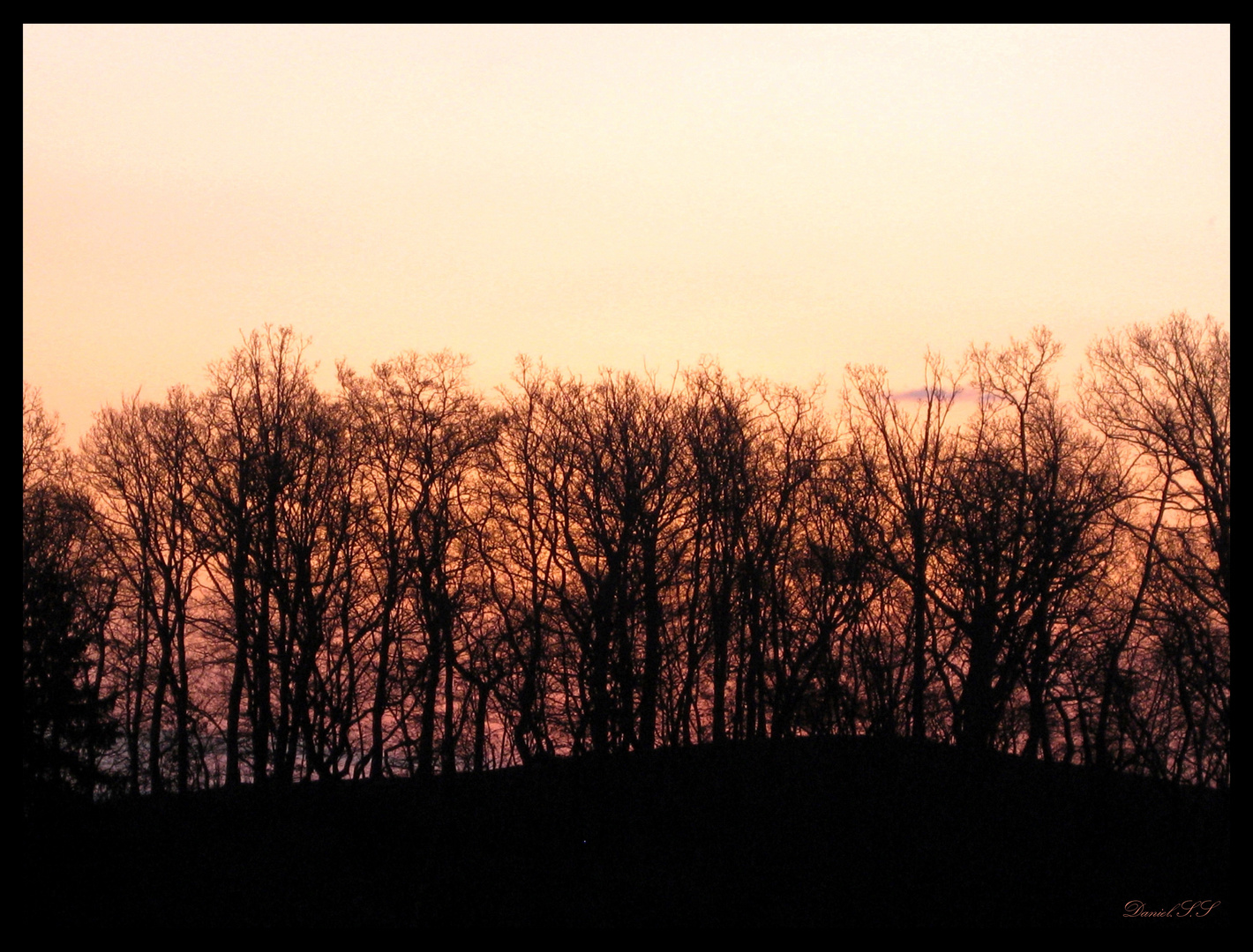 Sonnenaufgang -(Hinter d. Bäumen.....)