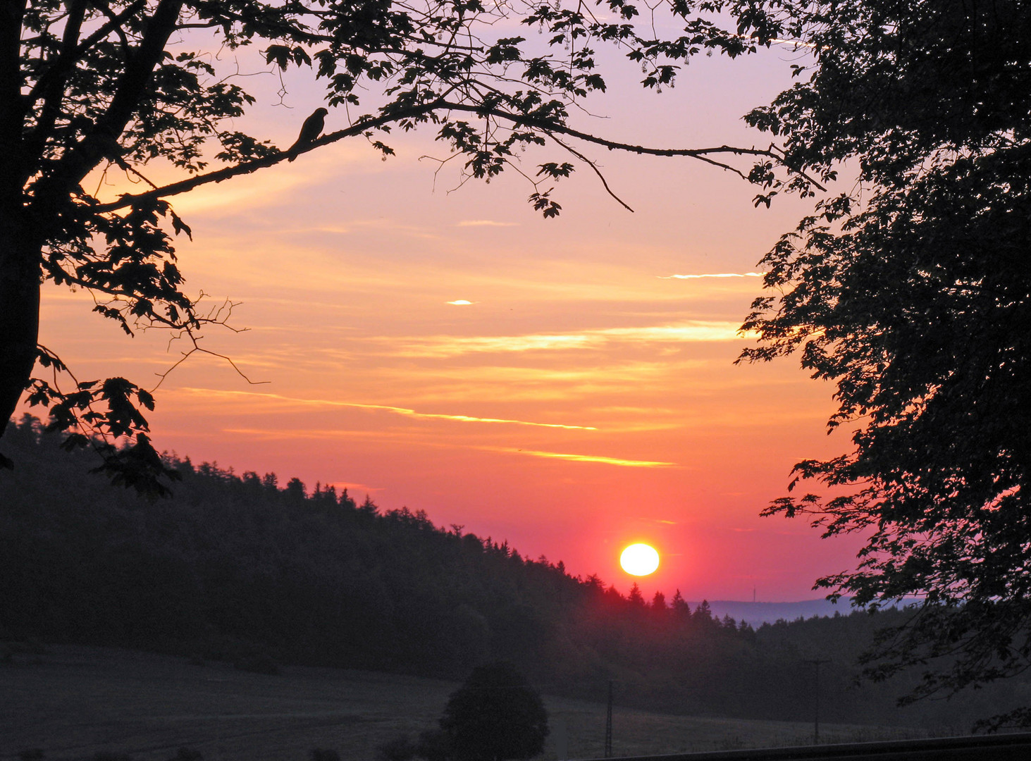 Sonnenaufgang hinter dem Dachsberg